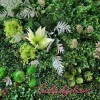 دیوار سبز مصنوعی برای بچه ها